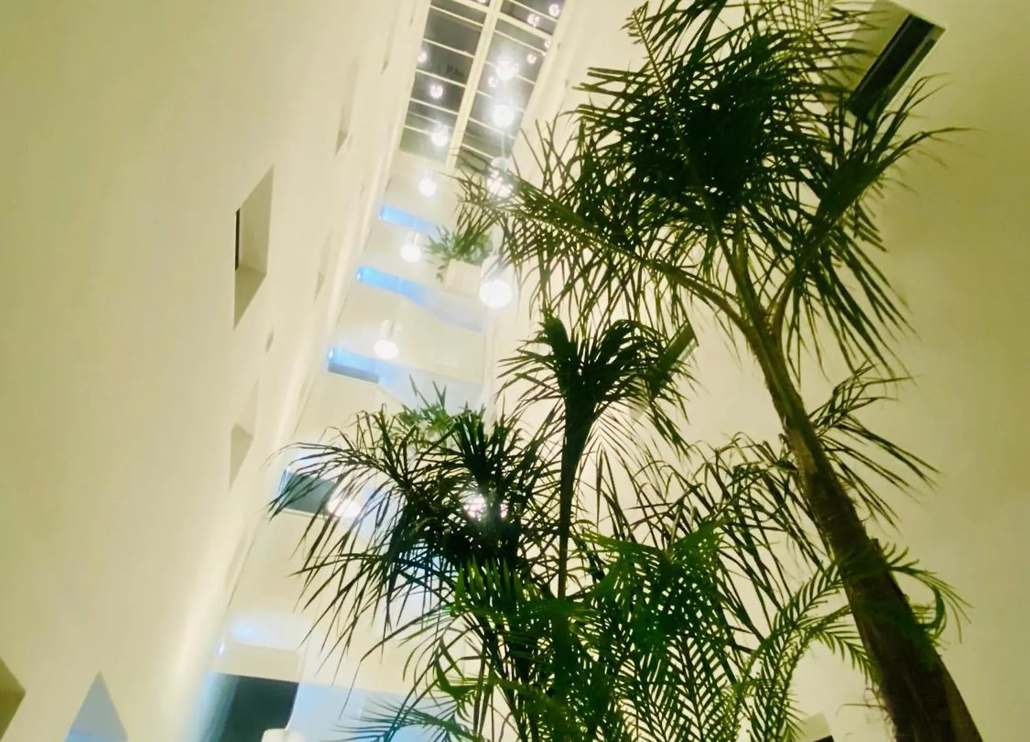 Apartment Palm Beach Appartment 80 Mt Dal Mare E Comodo Per Venezia Lido di Jesolo